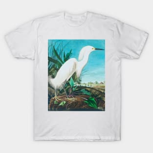 Bird of America  Bird, bird lover, america, beautiful  Public domain painting by John James Audubon T-Shirt